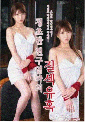 樱花题材剧集花见食堂海报